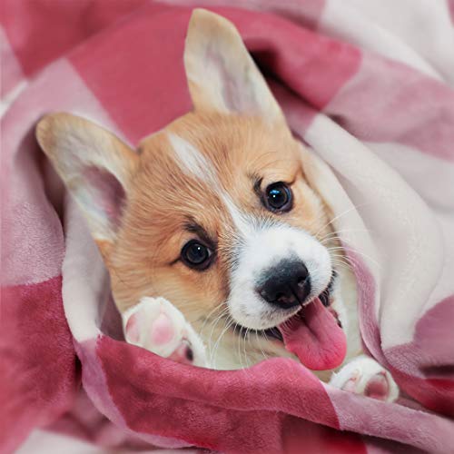 Piccocasa Buffalo Plaid Flannel Throw Blanket With Pom Poms | Tartan Checkered Fleece Blanket Throw Size | Lighweight Soft Plush Microfiber Blankets For Couch Sofa | 50"X60", Blush And White #TOP3