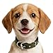Teendow Military Green Nylon Dog Collar, Soft Padded Adjustable Pet Collar with Metal Buckle & D-Ring for Small Medium Large Dogs