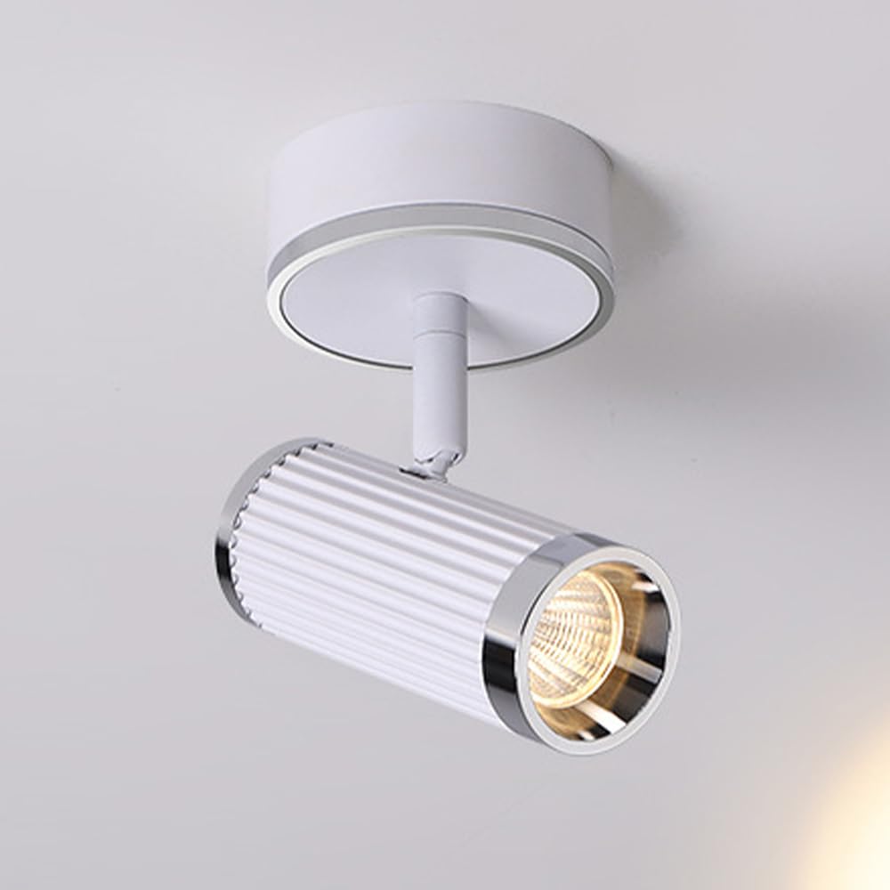 Spots monopoint multidirectionnels LED blanc rail orientable