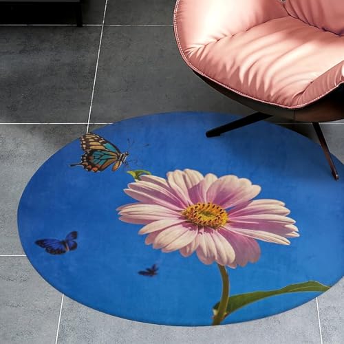 Tapis circulaire lavable absorbant et petit tapis de sol pour entrée