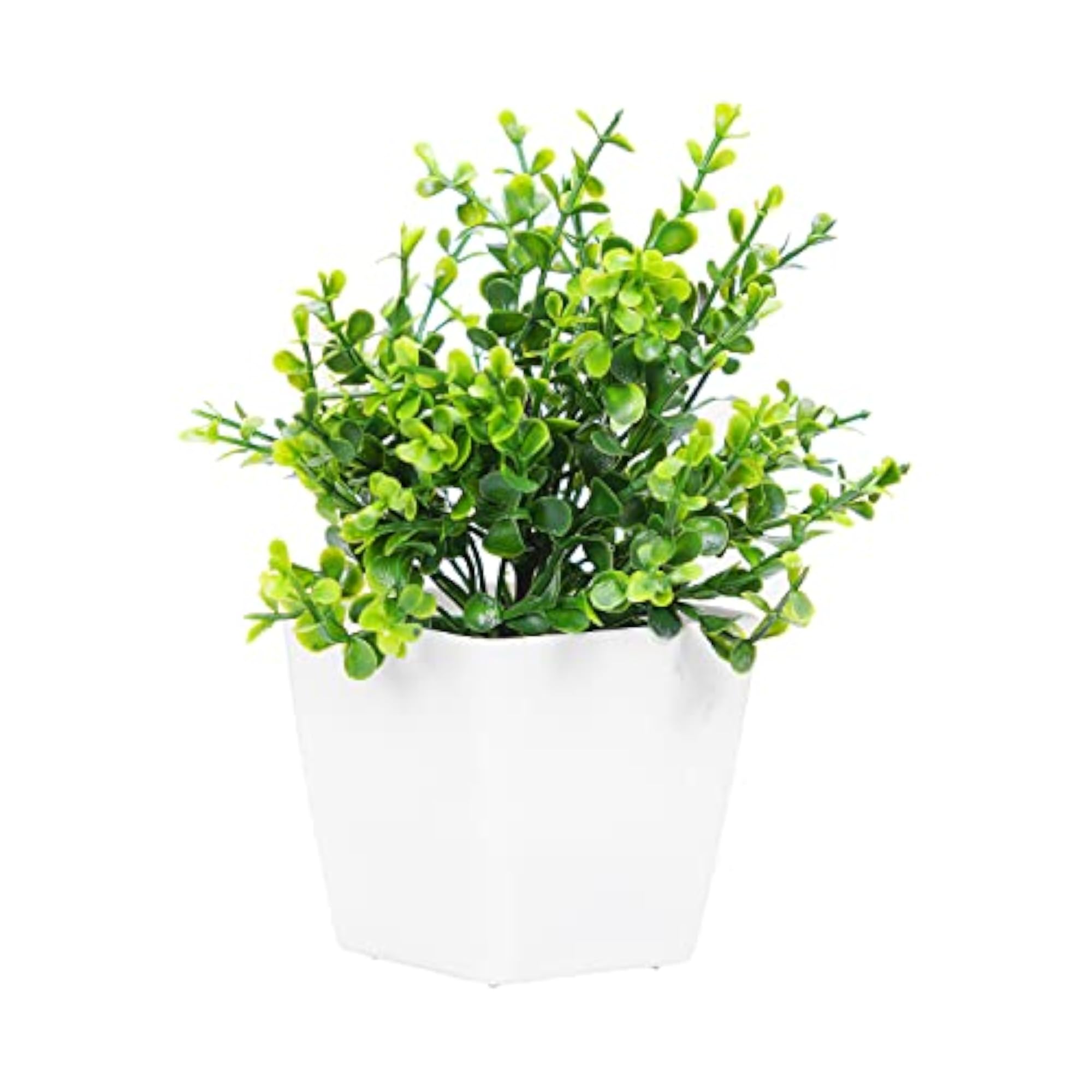 Fake Plants with White Pot