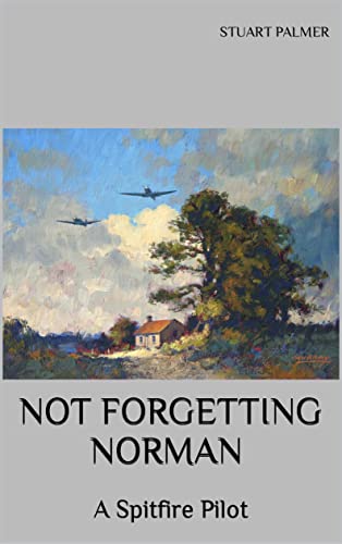 Not Forgetting Norman: A Spitfire Pilot (English Edition)