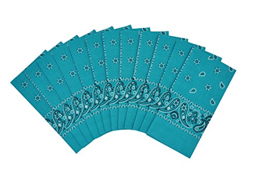 Vamqor 12pcs Bandana for women and men 100% Cotton Custom Fashion Paisley Design Multifunctional Outdoor Square Handkerchief (Turquoise)