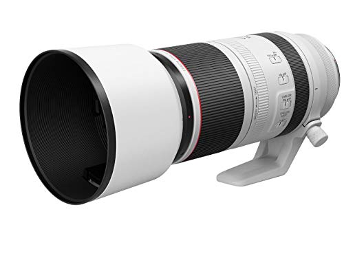 Canon RF 100-500mm lens