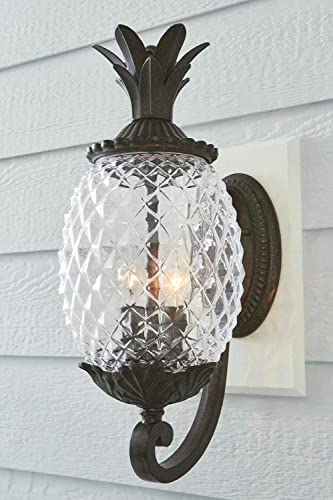 Acclaim 7501Bc Lanai Collection 2-Light Wall Mount Outdoor Light Fixture, Black Coral #TOP1
