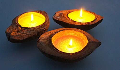 Preisvergleich Produktbild Kokoskerze schwimmend, Stückpreis