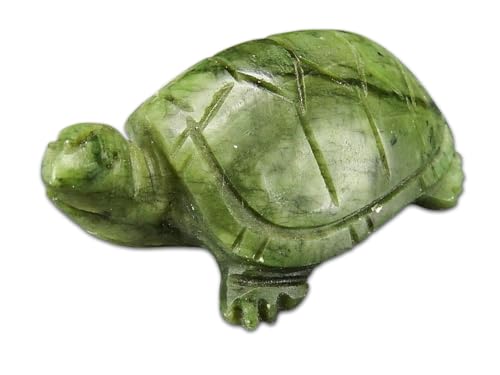 [ΊX] LVRΎ֖T[yeBT蒤蕶2_ZbgNuľ