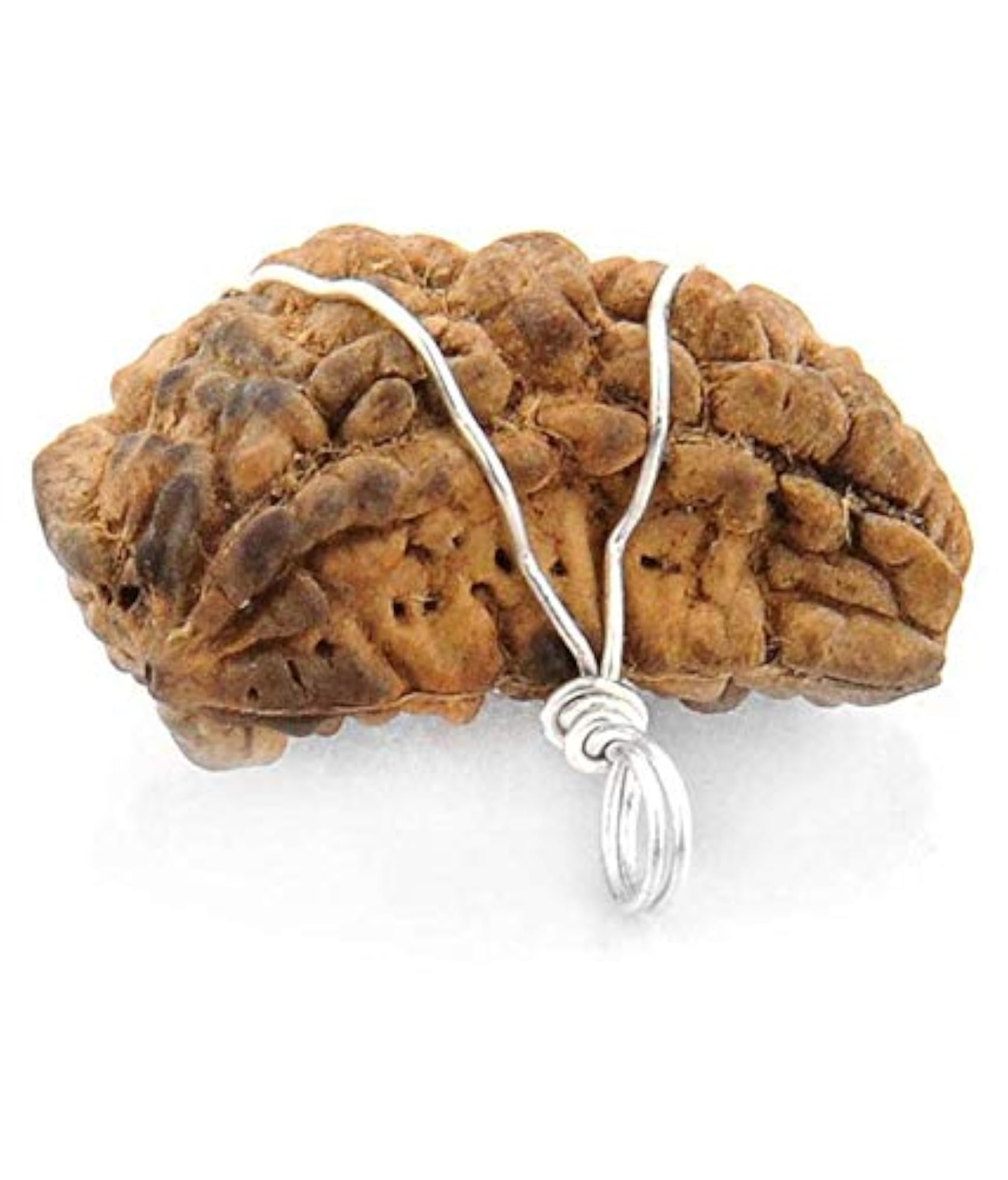 Lab Brown Rudraksha 1 Mukhi Kaju Dana Pendant Necklace