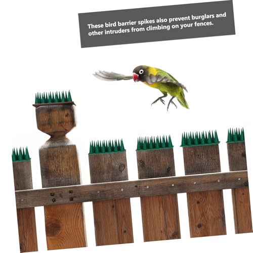 Pointes anti-pigeons plastique vert avec 10 ensembles modulables de protection