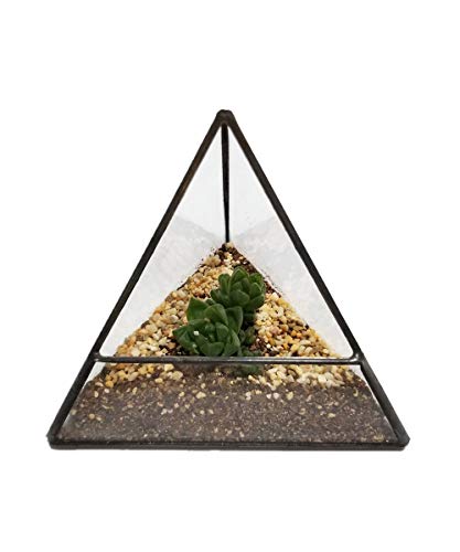 Humeng Décoration Forme de Pyramide Terrarium Qualité Verre Géométrique Pot De Fleurs Artistique Vase pour Catus Mousse Succulentes Plantes boîte Artisanat