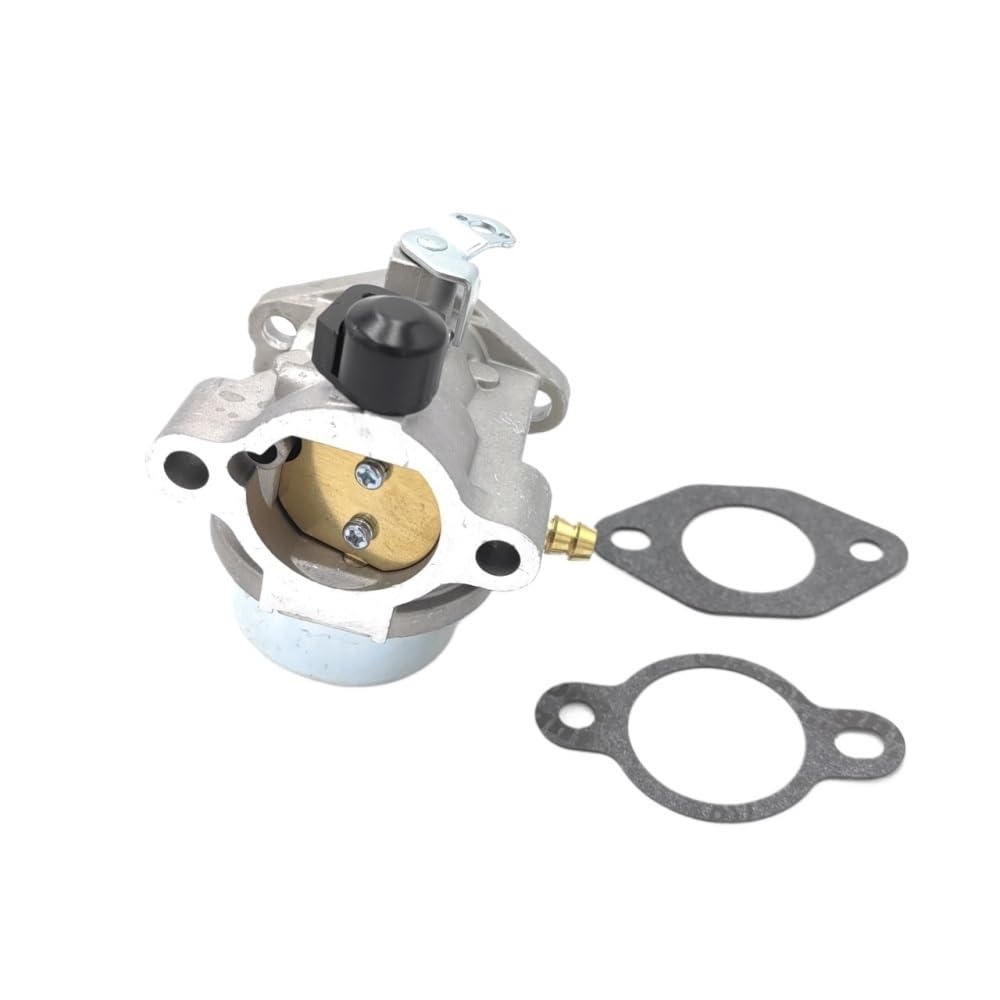 Carburateur 12-853-82-S pour retrouver une pelouse impeccable sans panne