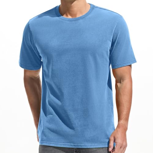 Herren Dick T-Shirt 100% Baumwolle Heavyweight 250g/m² Stone Washed Ultra Weich Regular Fit Bequem Vintage Look Kurzarm Basic