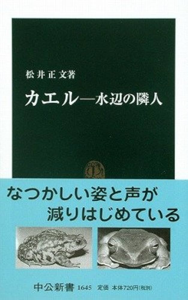 極上❣️ラベンダー本翡翠♡銭蛙ちゃん お手頃価格なのに飾り映え！タイトーの新物販フィギュアブランド