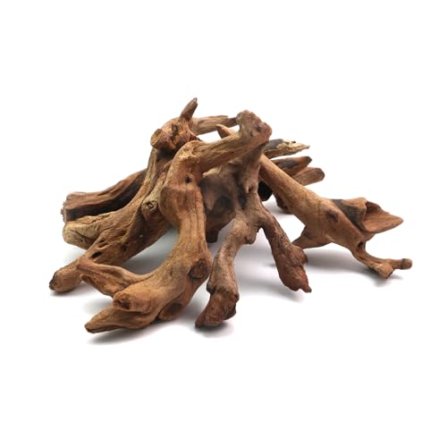 Image of 5Pcs Real Natural Driftwood for Aquarium, Aquarium Decor Wood Freshwater Fish Tank Reptile Driftwood Branch Length 3.93 inch to 5.9 inch