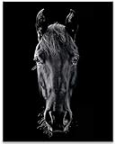 Black Horse Portrait: 11x14 Unframed Poster - Rustic Farmhouse Close-Up for Horse Lovers, Equestrian Art, Stable Decor, Ranch Country Western Cowboy Wall Décor