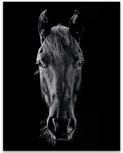 Black Horse Portrait: 11x14 Unframed Poster - Rustic Farmhouse Close-Up for Horse Lovers