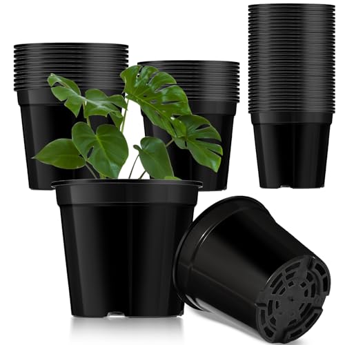 3 Simple Ways on How To Propagate Landscaping Bamboo Plants | UrbanOrganicYield.com Patelai 50 Pieces 3 Sizes Plant Nursery Pot Plastic Round Pots for Plants Reusable Garden...