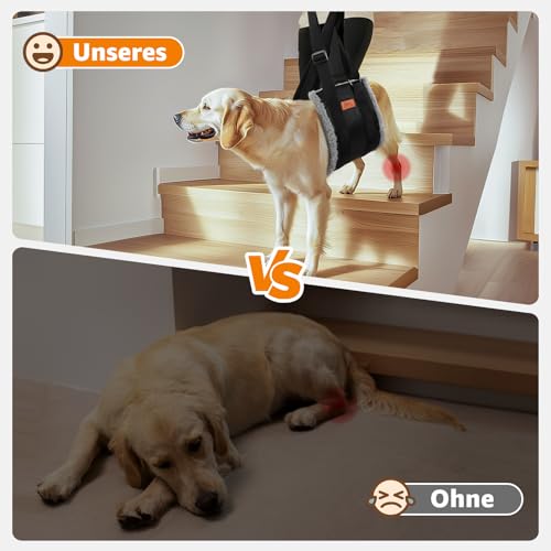 Verstellbare Hunde-Tragehilfe, Tragbarer Tragegurt zur Rehabilitation für behinderte, verletzte oder ältere Hunde - Hundegeschirr als Gehhilfe für kleine und große Hunde