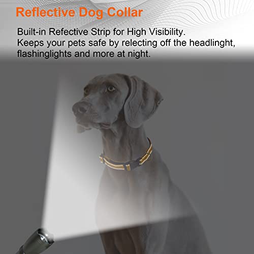 Brilliant Paw Reflective Dog Collar, Adjustable Nylon Collar, Strong Yet Comfortable, Safety Locking Buckle, Length Adjustable For Small Medium And Large Dog #TOP4