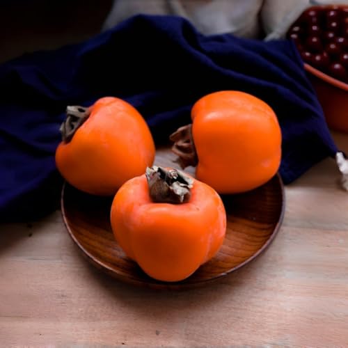 Persimmon Seeds (25PCS) - Non-GMO Cold-Hardy Perennial Tree, Low-Maintenance & Adaptable, for Yard Landscaping - Thumbnail 2