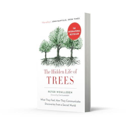 The Hidden Life of Trees