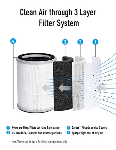 https://m.media-amazon.com/images/I/41d4fwOcaVL._SL500_.jpg