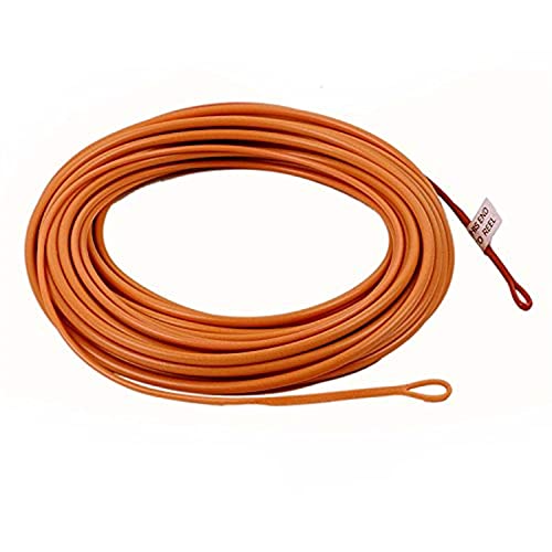 Maxcatch Skagit Shooting Head Fly Line 200GR-650GR 17FT-25FT with 2 Welded Loops (Honey/Brown, 23FT 450gr)