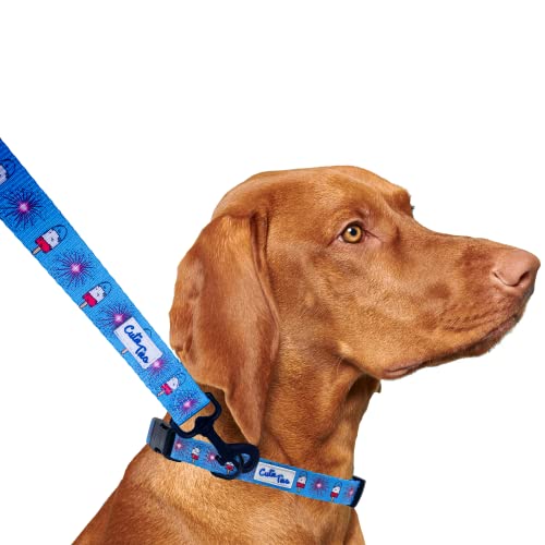 CUTIE TIES Dog Leash The Fourth– Durable Nylon Material - Premium Quality Leash for Dogs - Fancy Leashes - Cute Dog Leash in Two Sizes - (The Fourth, Small (5/8' x 5'))
