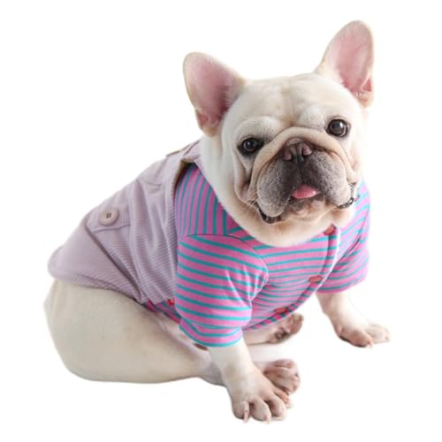 ICOUCHI ybg H~ WPbg {At R[g h g  hbOEFA ^ ^ ^ p[J[ m t`uhbO  킢 AE^[ (M,p[v)