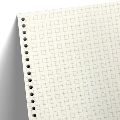 Image of PaperO A5 Punched Loose Leaf Square Grid Sheet /Grid Paper | 80 GSM | 100 Sheets | A5 (21 x 14.5 cm) | Ideal for Artists & Designers | Suitable for Spiral Binding
