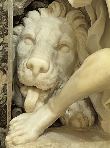 Détail de marbre Bernini poster animal léchant Daniel déco murale toile 58x90cm