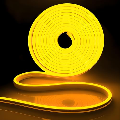 RAYVIX 16.4 Feet Neon LED Strip Light with 12V Adapter | Cuttable & Flexible Waterproof Neon Rope Light for Wall Decor, Indoor & Outdoor Decoration | DIY, Festival, Party | 5 Meter | (Yellow)