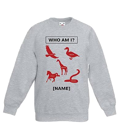 Sweat à capuche enfant gris contre le froid sweat Who Am I