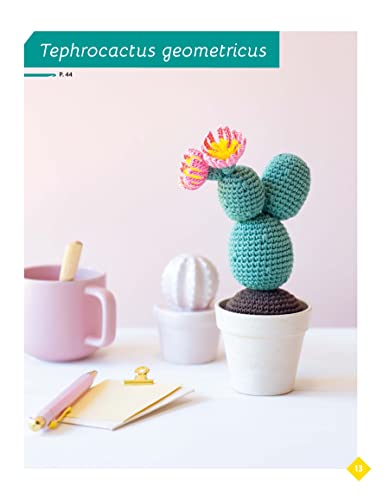 Adorable Houseplants to Crochet