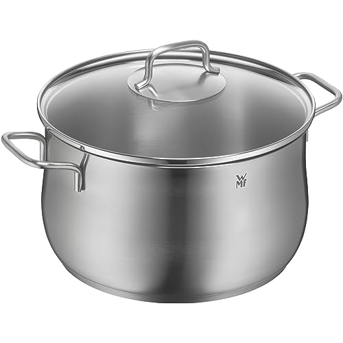 WMF 732246030 Brilliant Tall Cooking Pot Diameter 24 cm 6.5 Litre Pouring Rim Glass Lid Suitable for Induction Cookers Dishwasher Safe, Polished Stainless Steel Silver