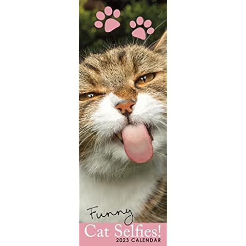 2023 Cat Selfies Slim Hanging Wall Calendar. No Plastic. Funny, Humorous, Kittens, Planner, Organiser, Home, Family, Schedule, Agenda, Gift Cover
