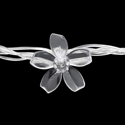 Image of KharidoLive 40 LED Blossom Flower String Lights for Home Decoration (6 Meter Long, Warm White- Steady Lights, 2 Pin Plug)