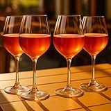 xtra camp Hochwertige Weingläser aus Kunststoff I Tritan | Unzerbrechlich Mehrweg Plastik Rotweinglas | Ideal für Camping Party Familienfeiern | 4er Set