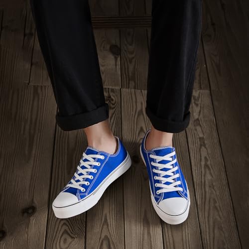 Image of ZGR Mens Classic Casual Shoes,Lace-up Fashion Sneakers,Low Top Canvas Sneakers for Men