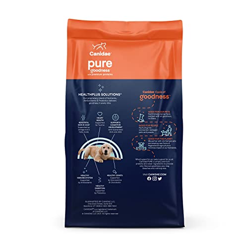 Canidae Pure Limited Ingredient Premium Puppy Dry Dog Food, Chicken, Lentil And Whole Egg Recipe, 4 Pounds, Grain Free #TOP7