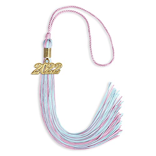 Endea Graduation Mixed Double Color Tassel with Gold Date Drop (Pink/Light Blue, 2022)