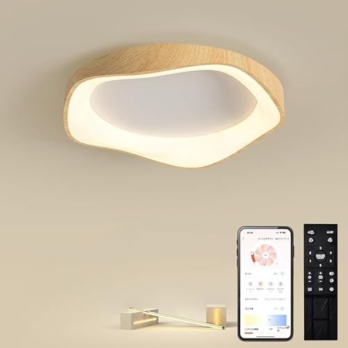 SHINPURUy2025foz ledV[OCg  F Rt V[OCg Ɩ VƖ 62cm 8`10 k CeA dF F ȃGl VƖ ȒPt q xbh[ Q r