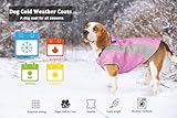 Hundemantel für kaltes Wetter und Hundeweste für den Sommer Multifunktionale Hundejacke mit reflektierenden Streifen, winddichter und Warmer Hundemantel im Winter, kühlende Weste für Hunde im Sommer