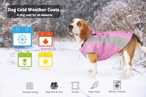 Hundemantel für kaltes Wetter und Hundeweste für den Sommer Multifunktionale Hundejacke mit reflektierenden Streifen, winddichter und Warmer Hundemantel im Winter, kühlende Weste für Hunde im Sommer