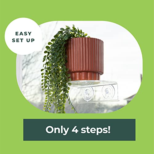 Image of Window Garden Veg Ledge Suction Cup Window Shelf - Create an Indoor Garden, Hold Your Planter Pots, Seed Starter, Figurines on Your Window. Grow Herbs, Microgreens, Succulents, Sleek (3 Pack)