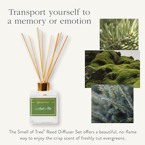 Difusor de Varillas Aromatique The Smell of Tree 5 fl oz miniatura 3