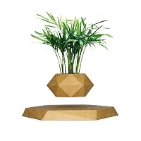 Vaso da fiori in marmo alto e senza tempo per esterni in vendita - YouFine