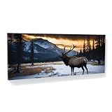 Sense Canvas Elk Majesty 84 Canvas Art - Home Decor Wall Art Print Poster Painting Large 40x16 / 0.75'
