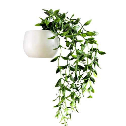 TIYGHI 冷蔵庫マグネット 人工吊り下げ植物 冷蔵庫マグネット フェイク多肉植物 ホワイトボードマグネット 強力なマグネット 冷蔵庫装飾 マグネットキャビネット ホームキッチンデコレーション用 (A)