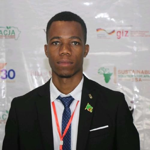 Vanny's Story cover art